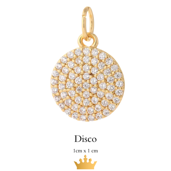 Charm Earrings